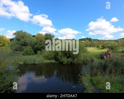 The blue sky over the lake or river with many greenings at daytime in spring Stock Photo