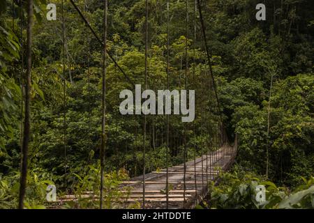 Suspension bridge with ropes with dense forest on the background Stock Photo