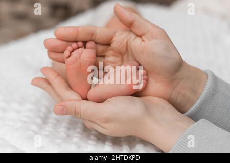 The baby's legs are in the hands of the parents. The concept of a happy family. Stock Photo