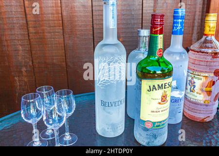 Grey goose vodka bottle hi-res stock photography and images - Alamy