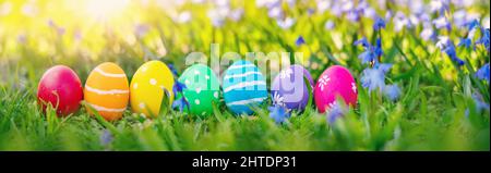 Easter eggs on the meadow with fresh green grass Stock Photo