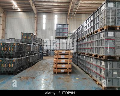 Indian Automobile Factory in Gujarat, India Stock Photo