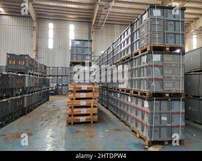 Indian Automobile Factory in Gujarat, India Stock Photo