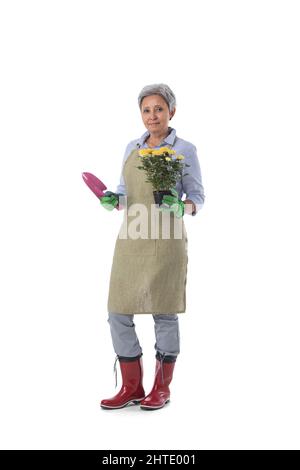 Full length portrait of smiling asian woman professional gardener or florist in apron holding rose flower in a pot isolated on white background Stock Photo