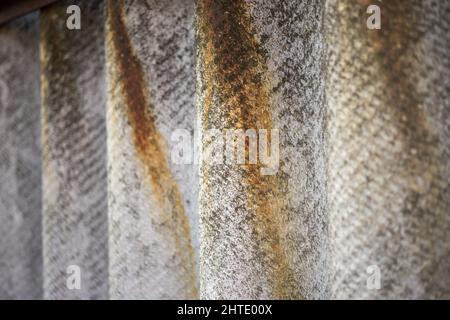 Close up old slate sheet fence with dry rusty flows. Stock Photo