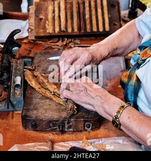 Hands of older woman rolling Cuban cigar from tobacco leaves. Stock Photo