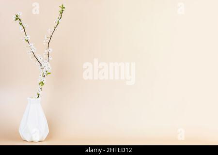 White vase with twigs of blossoming spring tree branch on beige background with copy space. Minimal spring flower bouquet Stock Photo