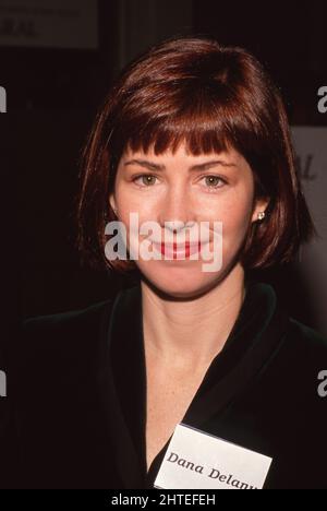 Dana Delaney Circa 1980's Credit: Ralph Dominguez/MediaPunch Stock