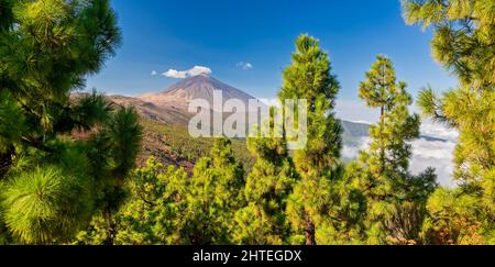 Volcano Teide - view from Mirador La Crucita (Tenerife, Canary Islands) Stock Photo
