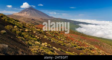 Volcano Teide and Orotava Valley - view from Mirador La Crucita (Tenerife, Canary Islands) Stock Photo