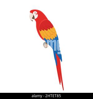 Macaw parrot sitting on a branch. Vector illustration of a tropical colorful macaw parrot sitting on a branch isolated on a white background. Side vie Stock Vector