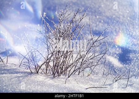 Close-up of winter scenery. Stock Photo