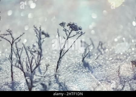 Close-up of winter scenery. Stock Photo