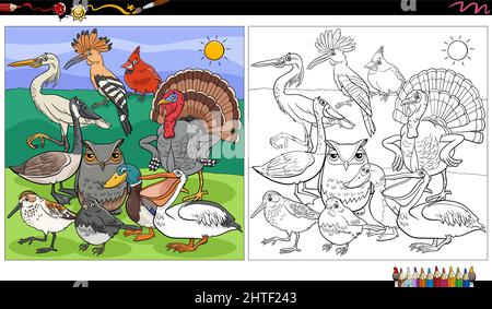 Cartoon illustration of birds animal characters coloring book page Stock Vector