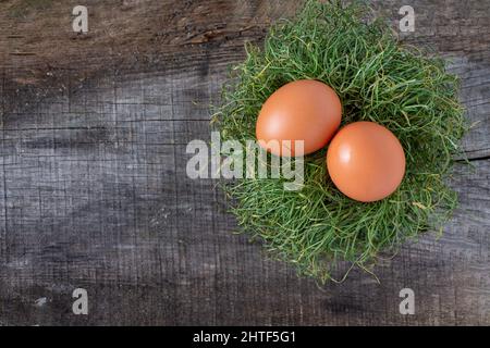 two chicken eggs lie in a nest of dry grass on an old wooden flo Stock Photo