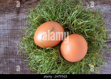 two chicken eggs lie in a nest of dry grass on an old wooden flo Stock Photo
