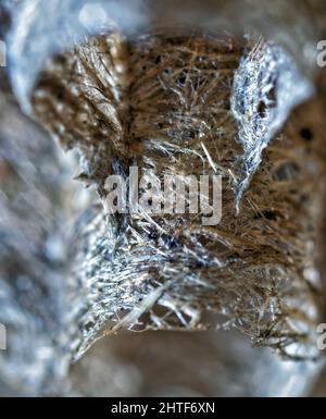 Super Macro Detail of Fibrous Tissue of Wasp Nest Stock Photo