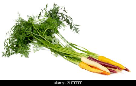 Bunch of fresh baby carrots isolated on white background Stock Photo