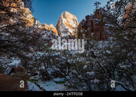 The Great White Throne is an iconic rock formation in Zions National Park.  The grandeur and scope of the red rock canyon is one of the great wonders Stock Photo