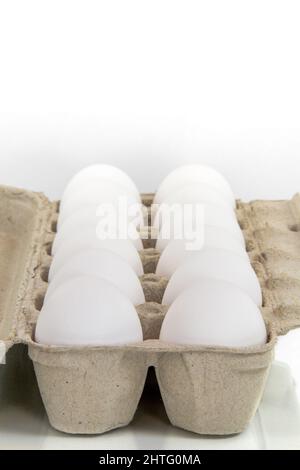 Open eggs carton with a dozen of eggs on reflective white background. Vertical photography. Stock Photo