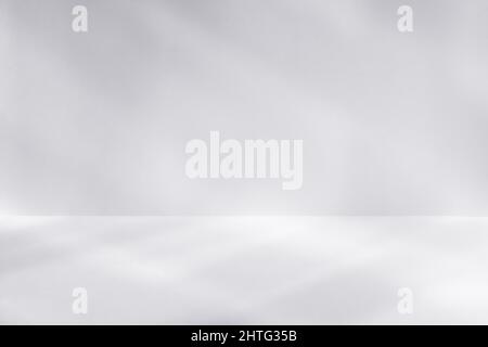 Empty light studio space with deep windows shadow. Sparse template and background Stock Photo