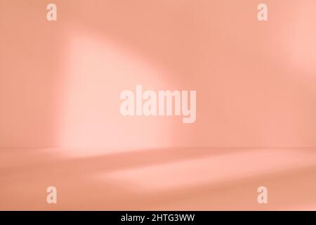 Empty light beige studio space with deep artistic shadow. Minimalistic space concept Stock Photo