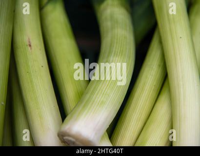 Natural fruits and vegetables without preservatives, on natural soil without artificial fertilizers and GMOs Stock Photo