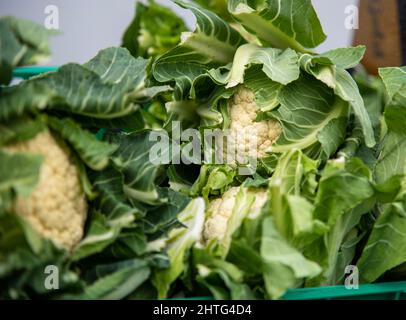 Natural fruits and vegetables without preservatives, on natural soil without artificial fertilizers and GMOs Stock Photo