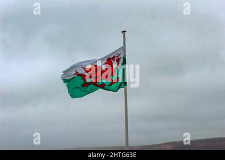 Dark image of the Welsh flag on a pole on a cloudy day in New Quay, Wales Stock Photo