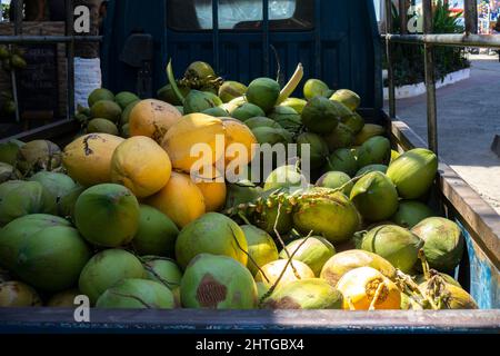 Pile of fresh coconuts transported on a pick up truck for selling. Tropical green and yellow fruits Stock Photo