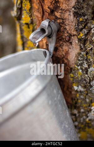 Sugaring off time in the Lanaudière, Québec Stock Photo