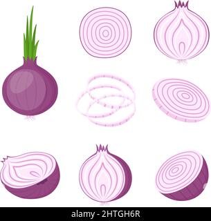 Red onion, whole and cut. Farm vegetables, vector illustration Stock Vector