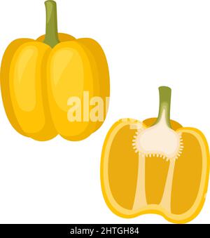 Yellow bell pepper, whole vegetable and half. Vector illustration Stock Vector