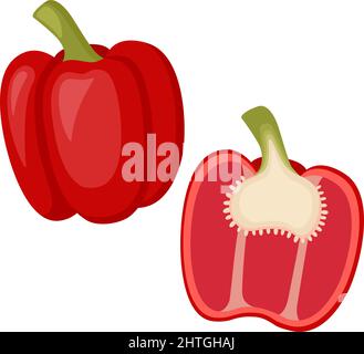 Red bell pepper, whole vegetable and half. Vector illustration Stock Vector