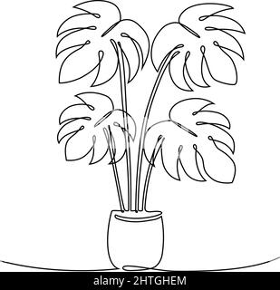 Houseplant monstera in one continuous line drawing, vector illustration Stock Vector