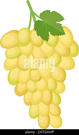 Bunch of yellow grapes on white background, vector illustration Stock Vector