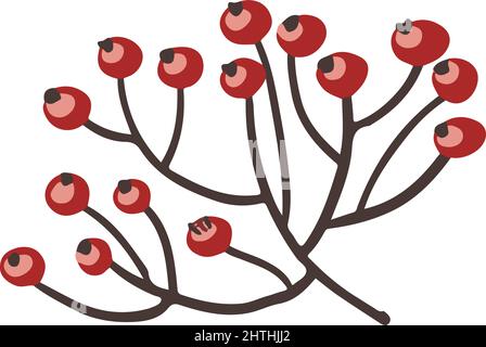 Rosehip or rowanberry, mistletoe berries vector Stock Vector