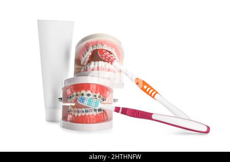 Model of jaws with braces, toothbrushes and paste isolated on white background Stock Photo