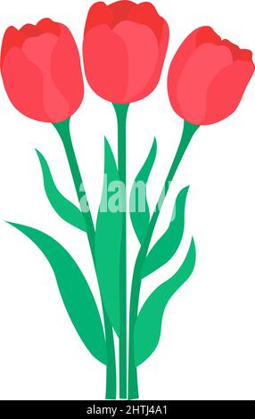 Bouquet scarlet tulips Stock Vector