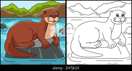 River Otter Coloring Page Colored Illustration Stock Vector