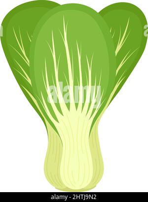 Bok choy or Pak choi. Chinese cabbage. Healthy food, fresh organic vegetable, vector illustration Stock Vector