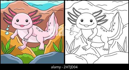 Axolotl Coloring Page Colored Illustration Stock Vector