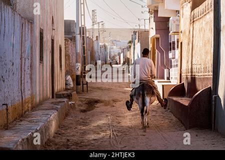 Aswan, Egypt - January 1, 2022: Back view of anonymous local male sitting on donkey on street of Nubian village Stock Photo