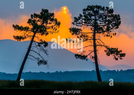 From below silhouettes of tall trees growing on grassy meadow near mountain range under picturesque bright cloudy sunset sky in Extremadura, Spain Stock Photo