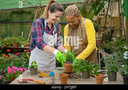 Diverse women transplanting plants together Stock Photo