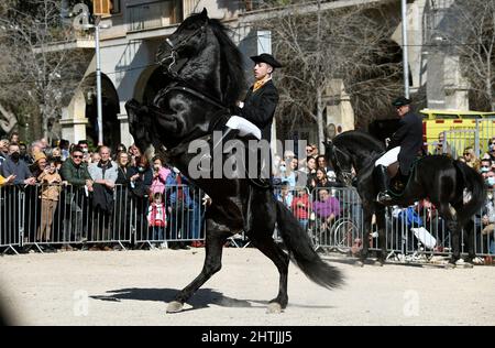 Palma de Mallorca, March 1st, 2022. Exhibition of horses of the Menorca breed in the center of Palma de Mallorca, during the Balearic Islands Community Day festivity. Stock Photo