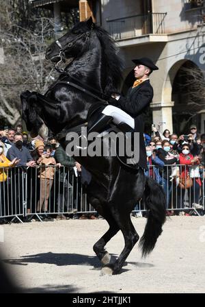 Palma de Mallorca, March 1st, 2022. Exhibition of horses of the Menorca breed in the center of Palma de Mallorca, during the Balearic Islands Community Day festivity. Stock Photo