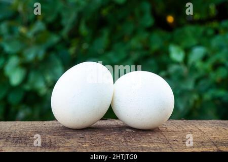 White eggs on the wooden table of domestic hens on green grass texture background. Stock Photo