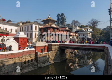 Kathmandu, Nepal. 01st Mar, 2022. Hindu Devotees visit Pasupatinath Temple during the Maha Shivaratri festival. Maha Shivaratri is one of the biggest Hindu festivals celebrated annually in honor of Lord Shiva and in particular, marks the night when Shiva performs the heavenly dance. Credit: SOPA Images Limited/Alamy Live News Stock Photo