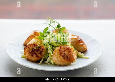 Pan fried scallops with celeriac salad Stock Photo